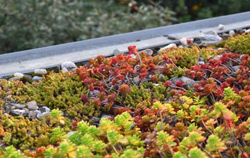 the cost of Ardstraw green roof installation