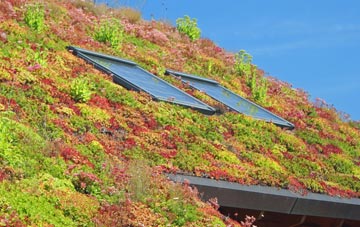 Ardstraw living roof systems