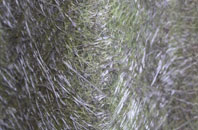 Ardstraw fibreglass roof work